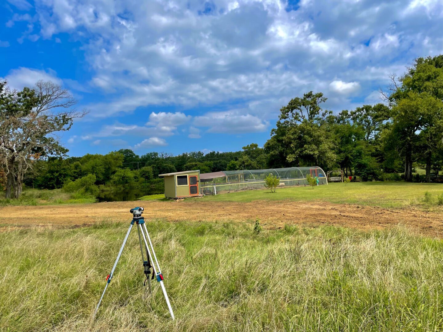 A Way Finder in a Green Grassy Plain Surrounded by Trees